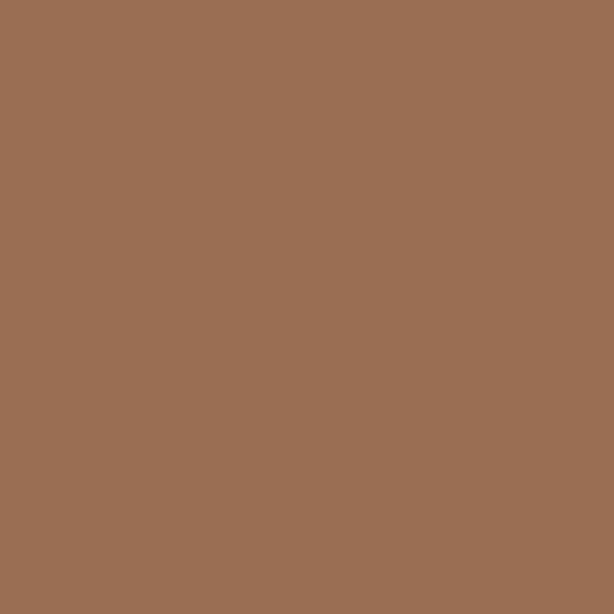 Shopaarel Silky Matte Gloss Liquid Lipstick - Runway-15