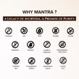 Mantra Palma Christi and Olive Hair Cleanser for Dry & Damaged Hair