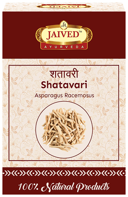 Jaived Ayurveda Shatavari