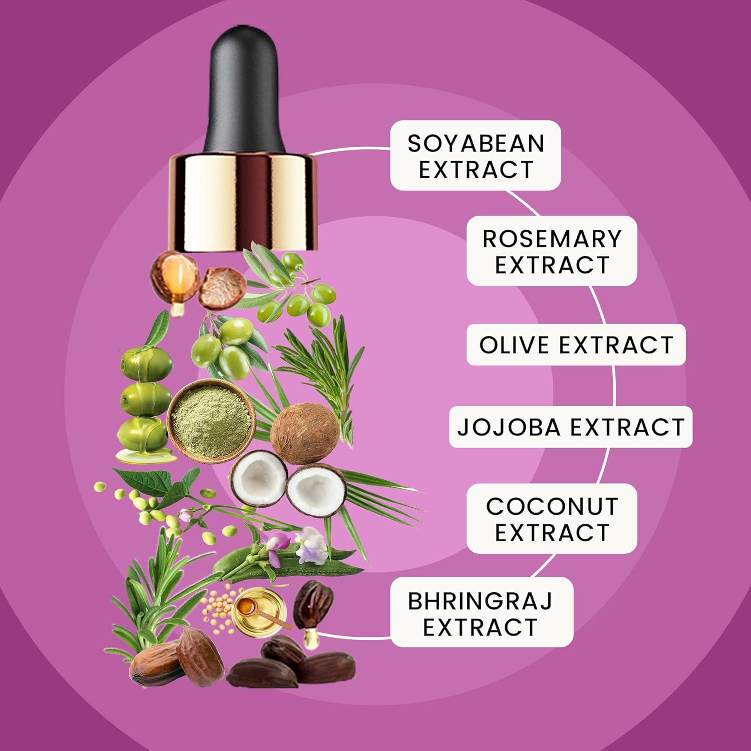 WildOak Rosemary Hair Oil with 3x Power of Bhringraj, Olive & Jojoba Oil | Non - Sticky | Hair Growth, Strengthening Hair Follicles, Hair Fall Control, Anti Dandruff & Nourishment | 50ml