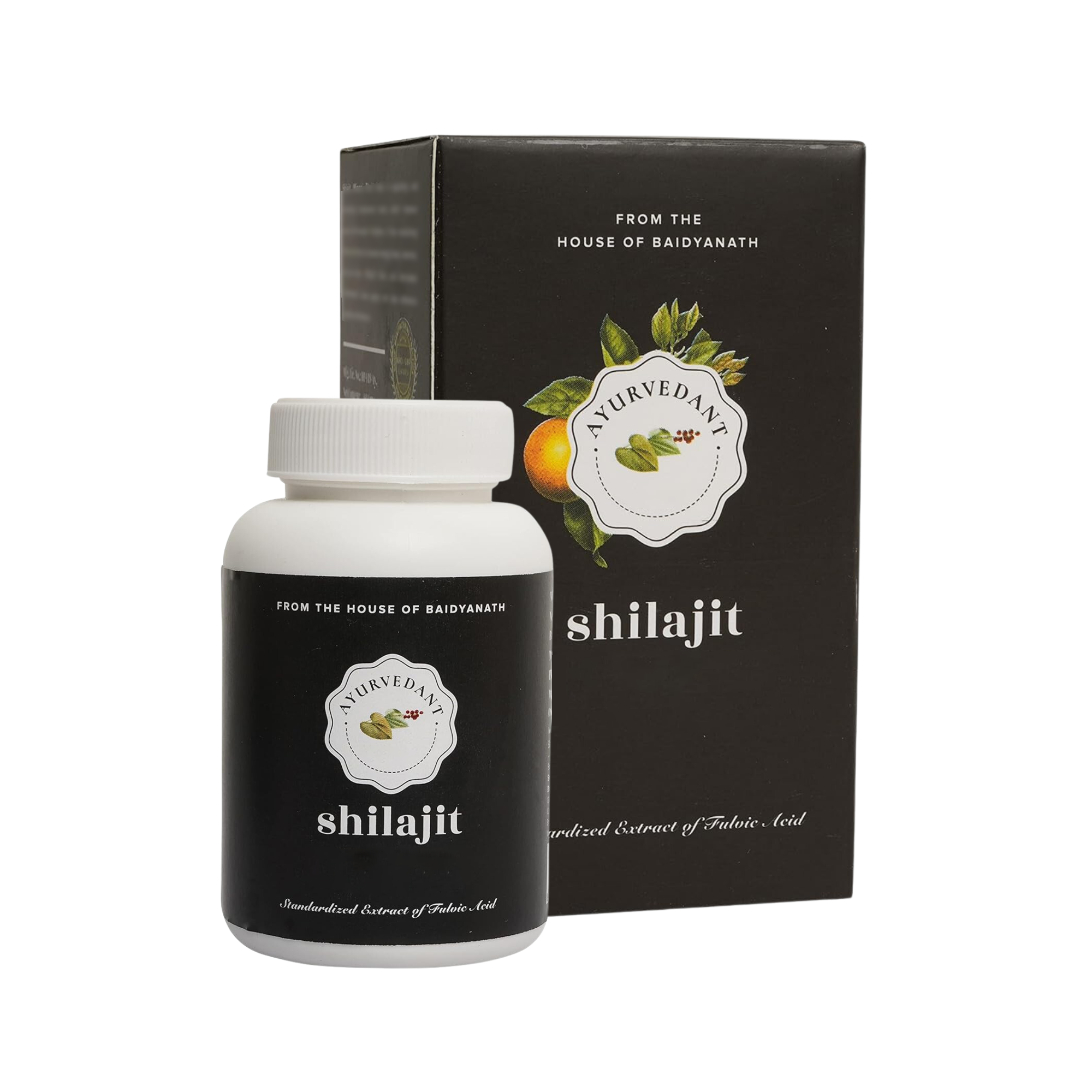 Baidyanath Ayurvedant Shilajit - Image 1