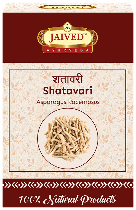 Jaived Ayurveda Shatavari