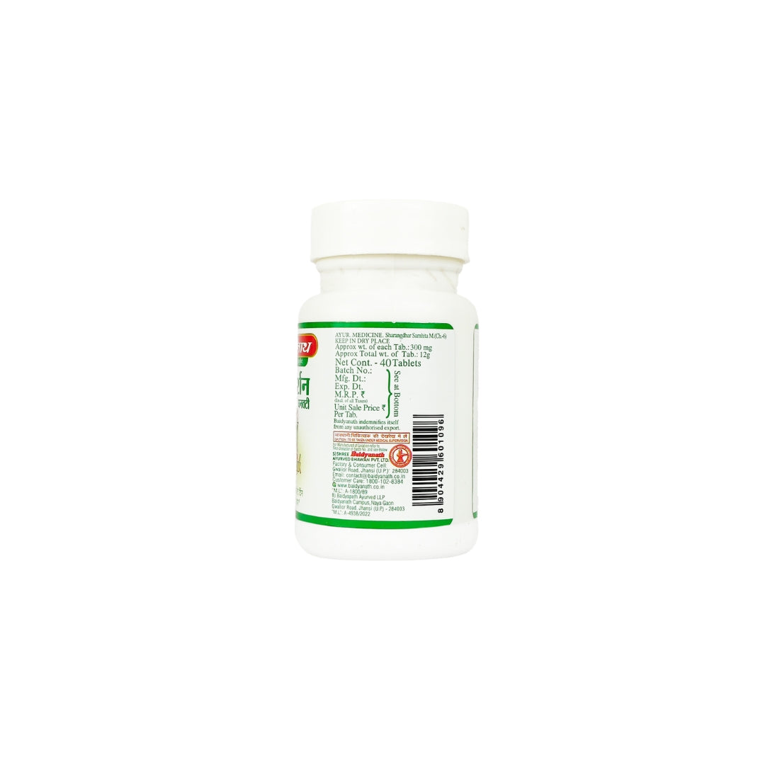 Baidyanath Sudarshan Ghanvati 40tab - Image 4