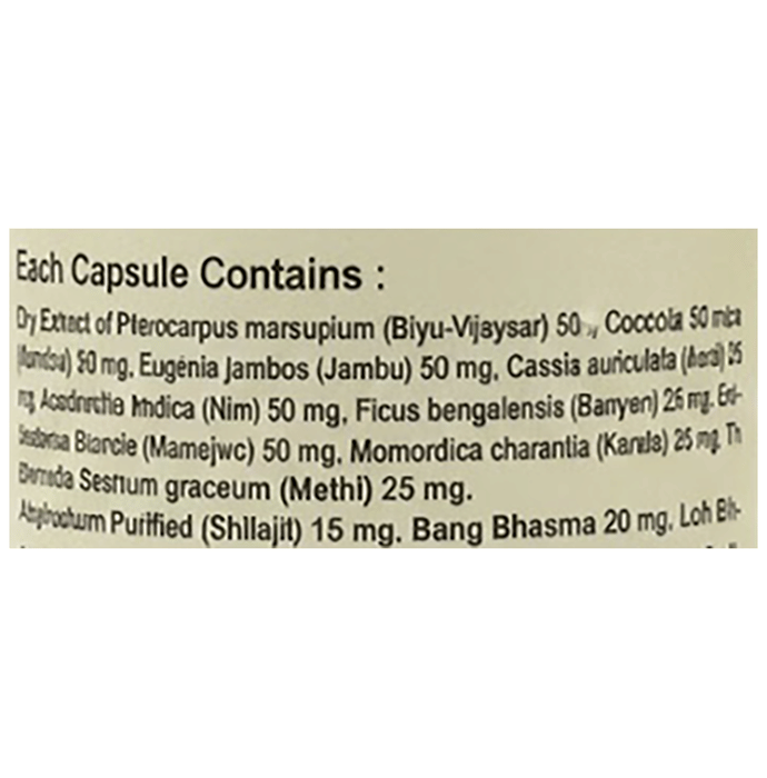 Indian Remedies Ziaab 110 Capsules