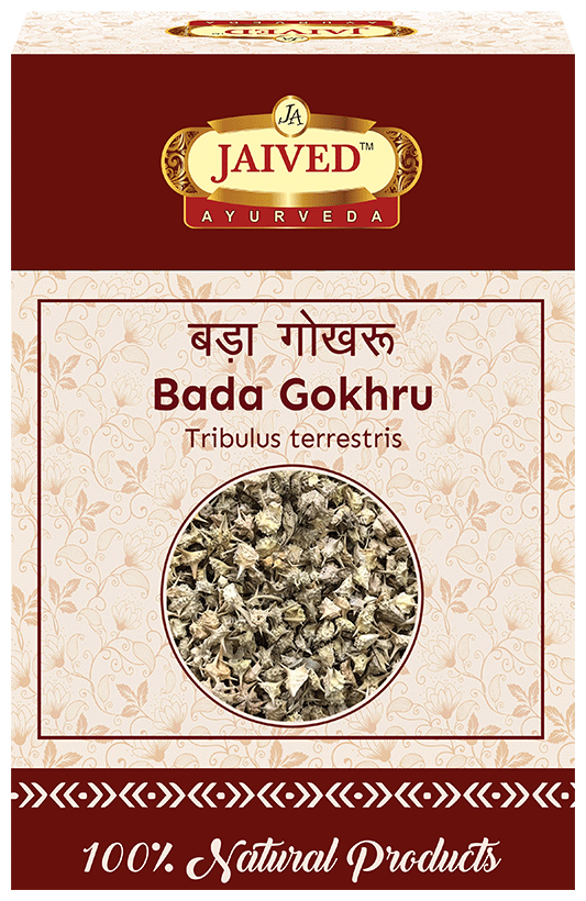 Jaived Ayurveda Bada Gokhru