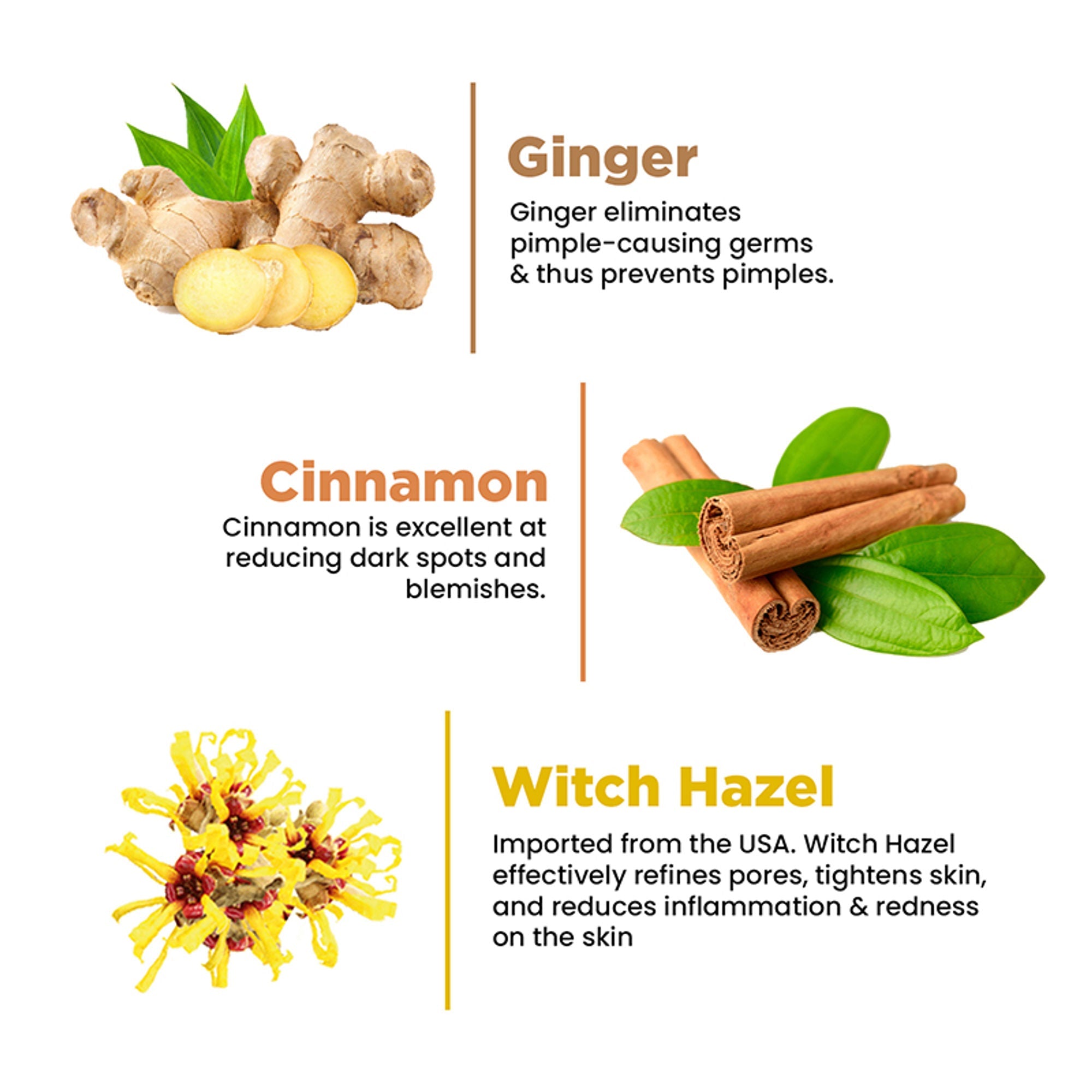 The Skin Story Oil & Pimple Control Ginger Cinnamon Face Wash
