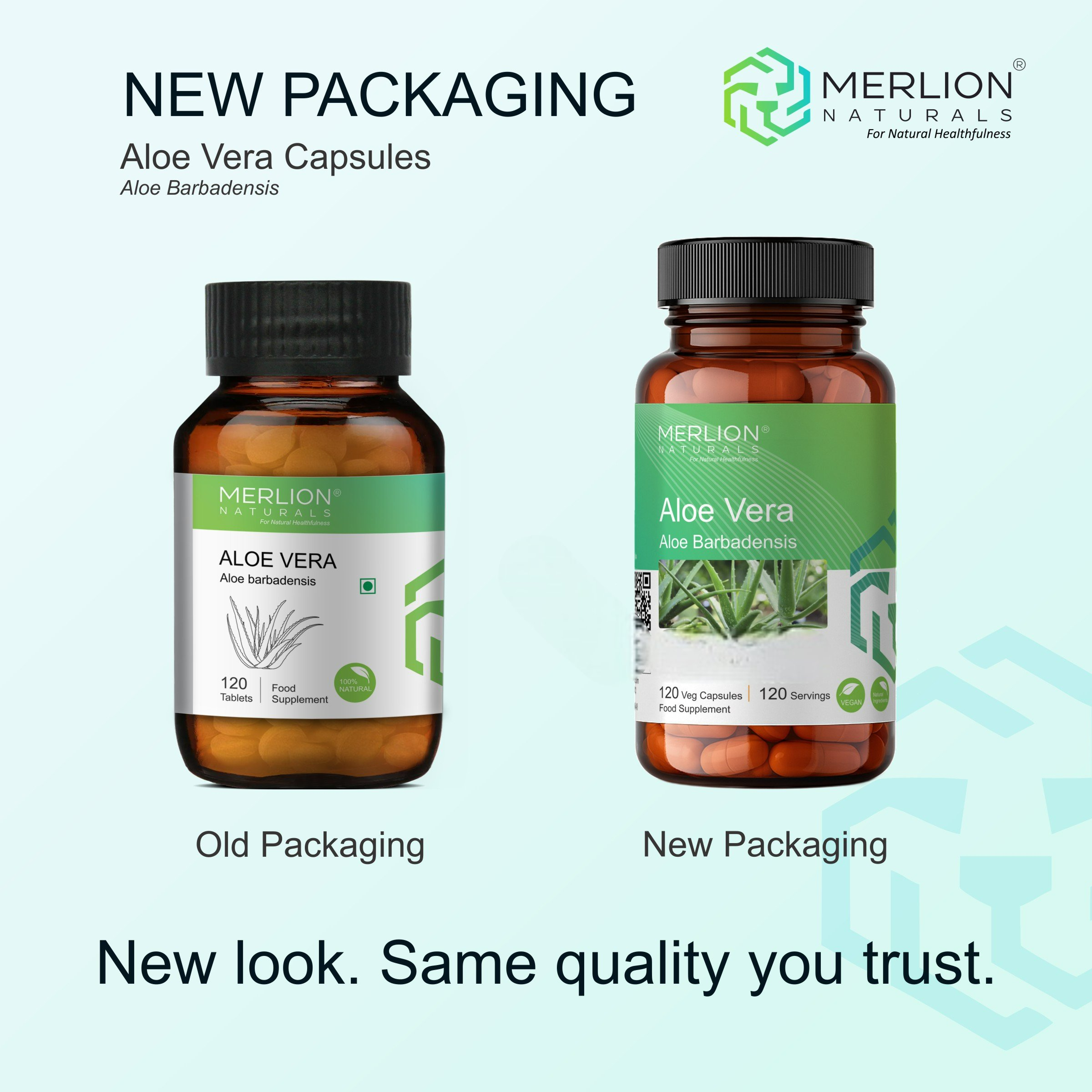 Merlion Naturals Aloe Vera 500mg Capsules