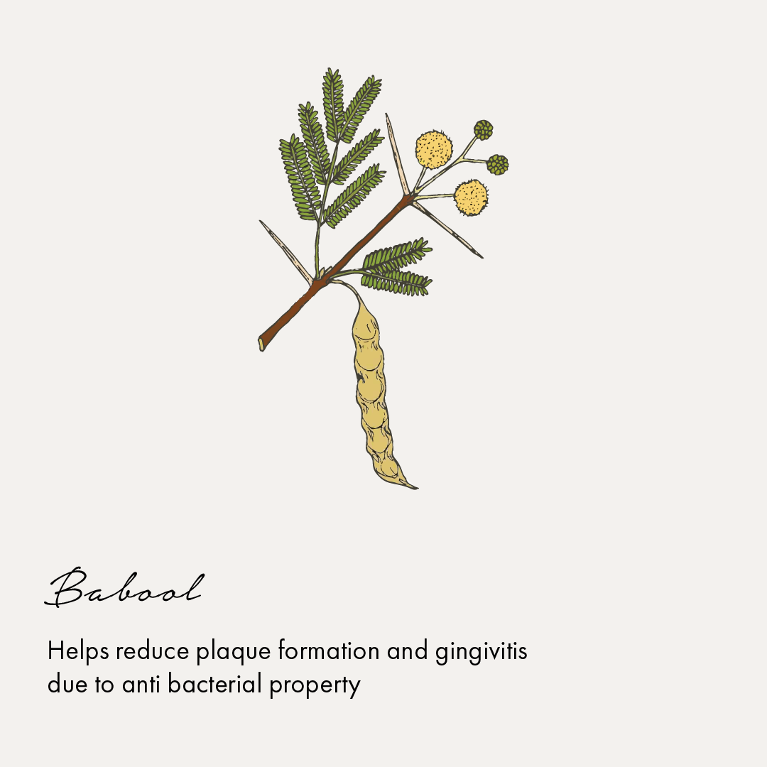 Birdsong Botanical Sea Salt and Spearmint Toothpaste