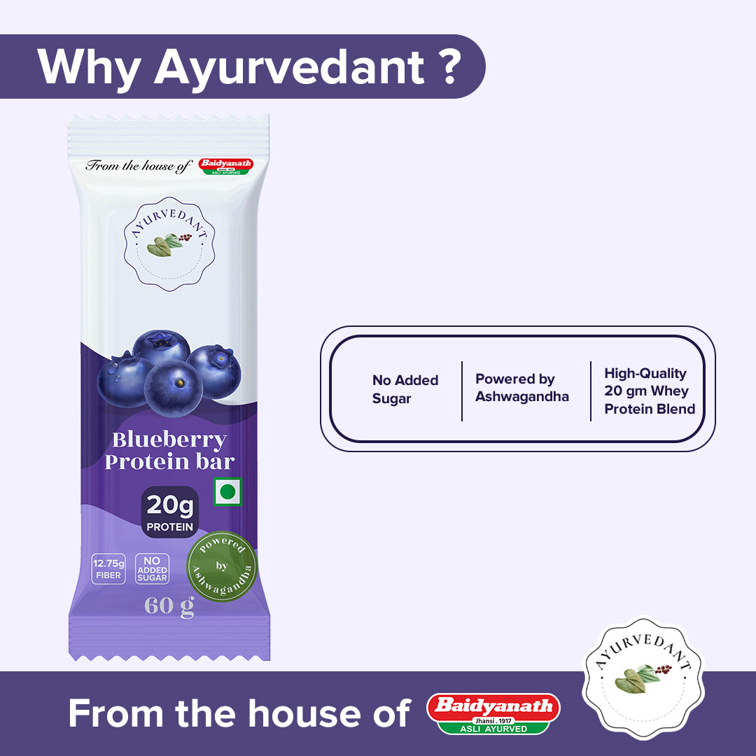 Ayurvedant Blueberry Protein Bars Pack of-6 - Image 4