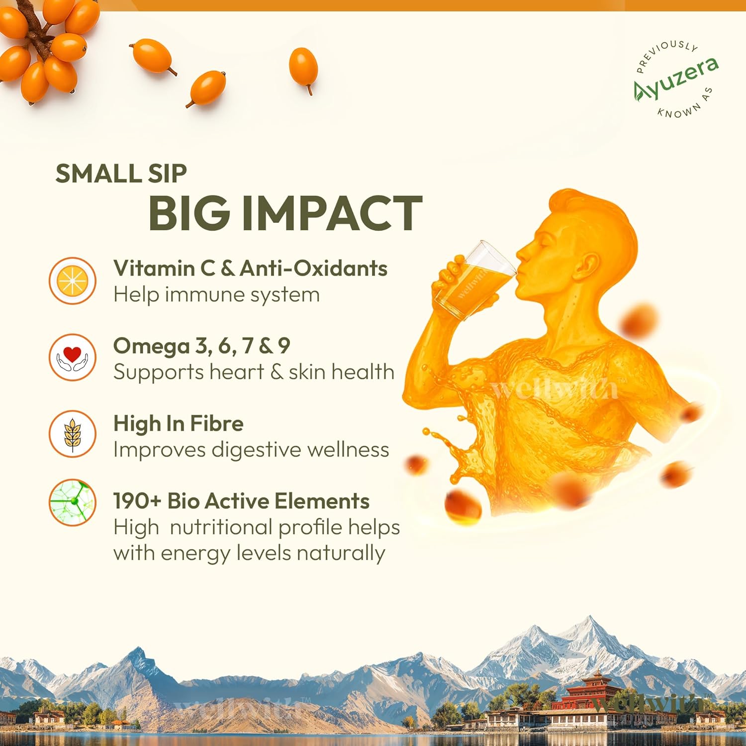 Ayuzera (Wellwith) Himalayan Sea Buckthorn Pulp Concentrate Juice 300ml