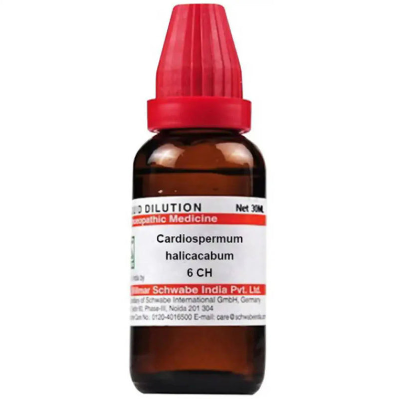 Dr. Willmar Schwabe India Cardiospermum Helicacabum Dilution