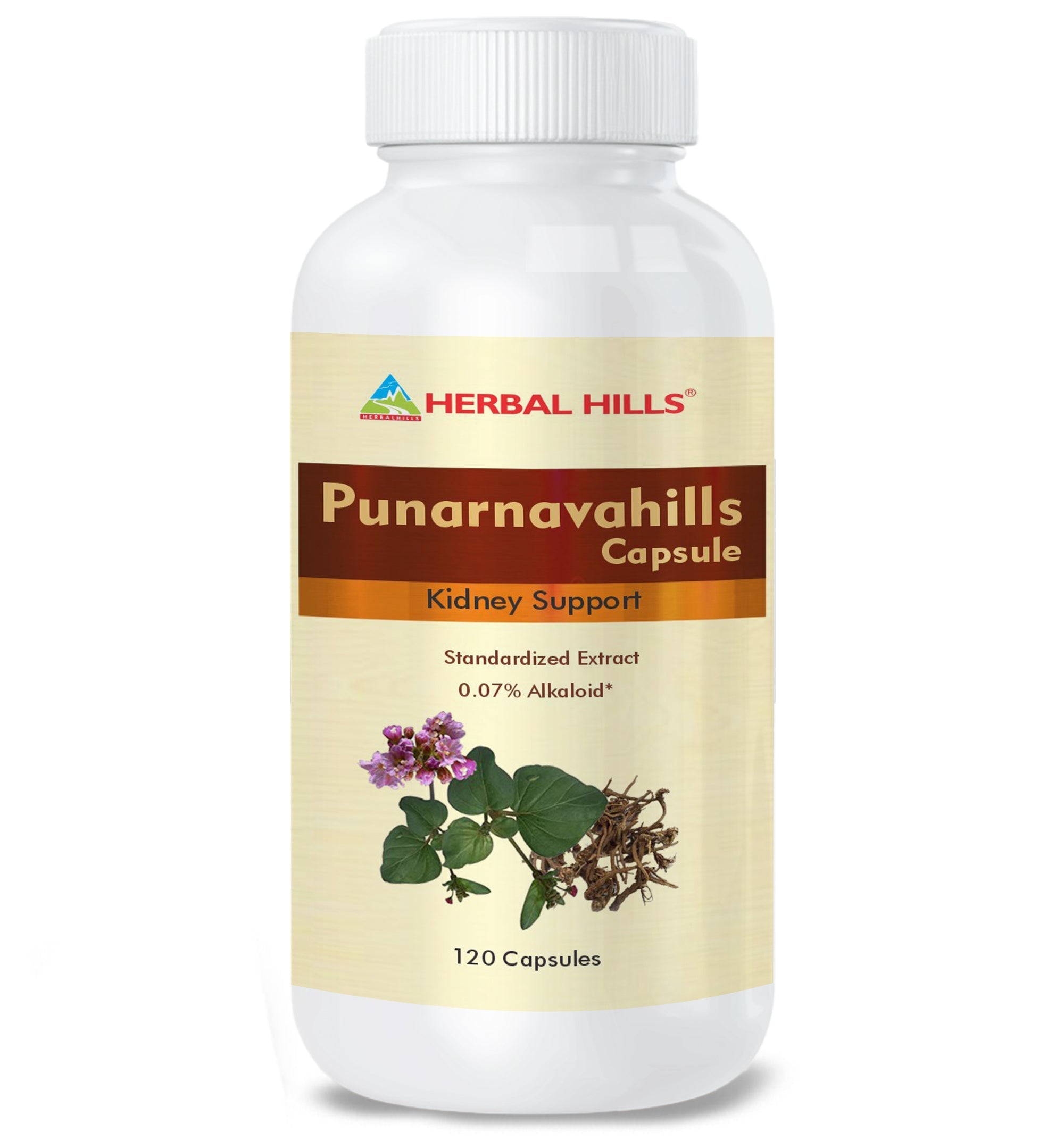 Herbal Hills Ayurveda Punarnavahills Capsules