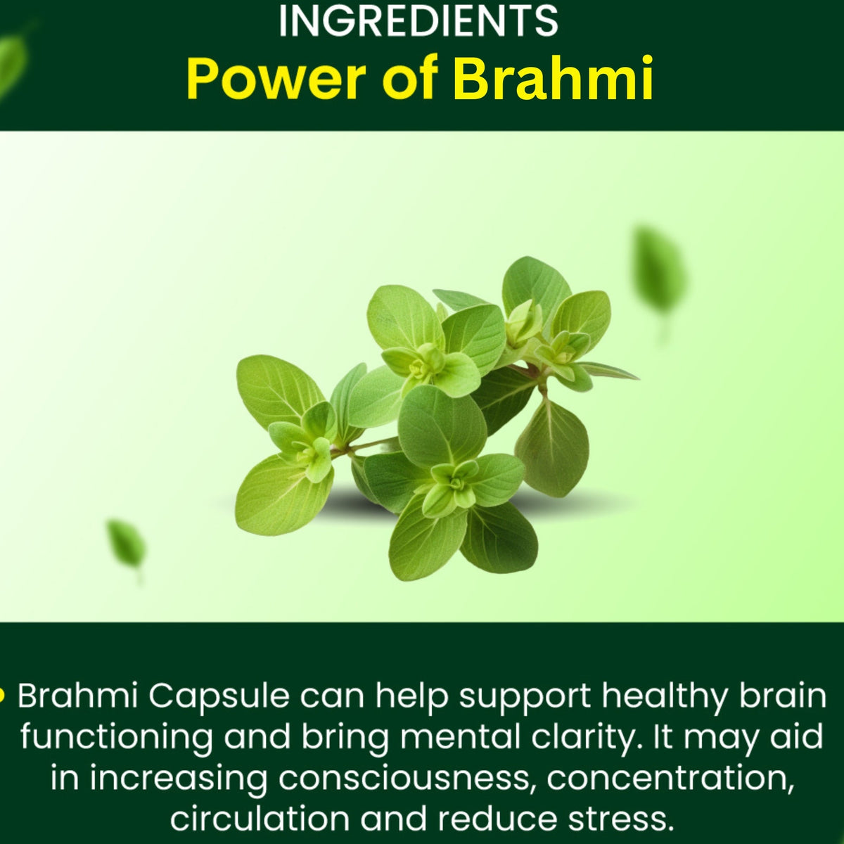 Cipzer Brahmi Capsules