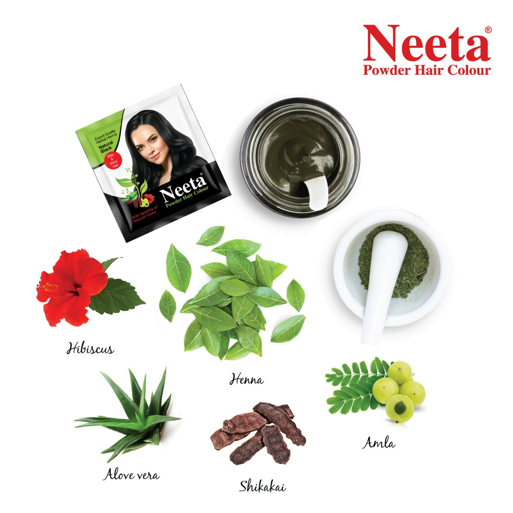 Neeta Hair Color Powder Natural Henna Based Hair Color (Pack of 12) Natural Black