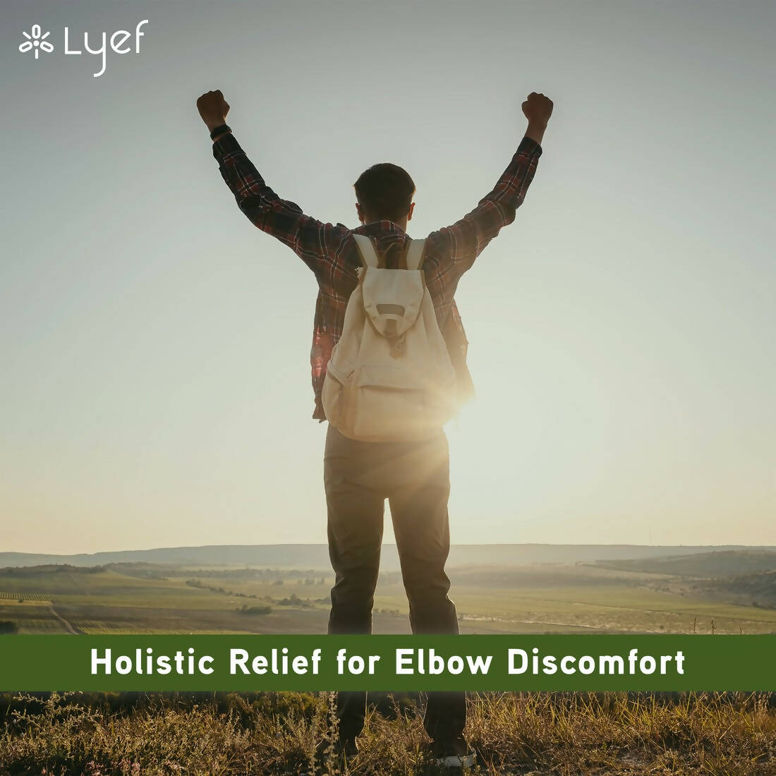 LYEF Elbow Support Capsules