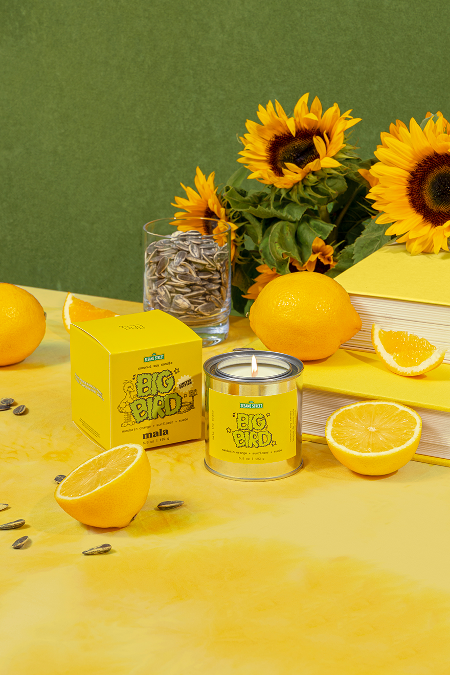 Sesame Street x Mala: Big Bird | Mandarin Orange + Sunflower + Suede