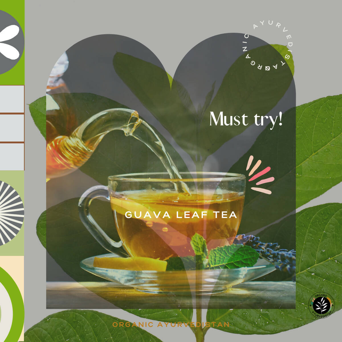 Organic Ayurveprithvin Guava Leaves Powder