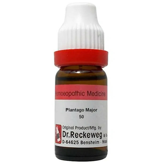 Dr. Reckeweg Plantago Major Dilution
