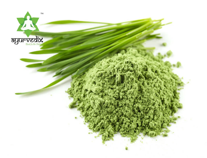 Ayurvedix Organic Wheatgrass Powder -100 gm