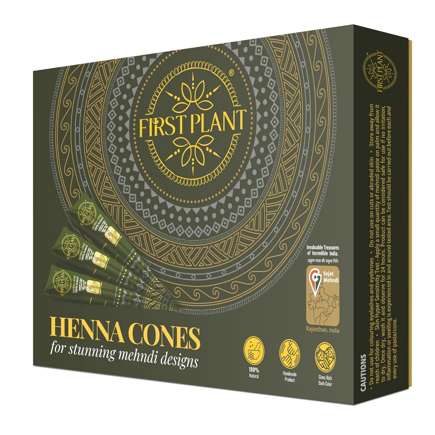 First Plant Premium Rajasthani Organic Henna Cone For Body Art