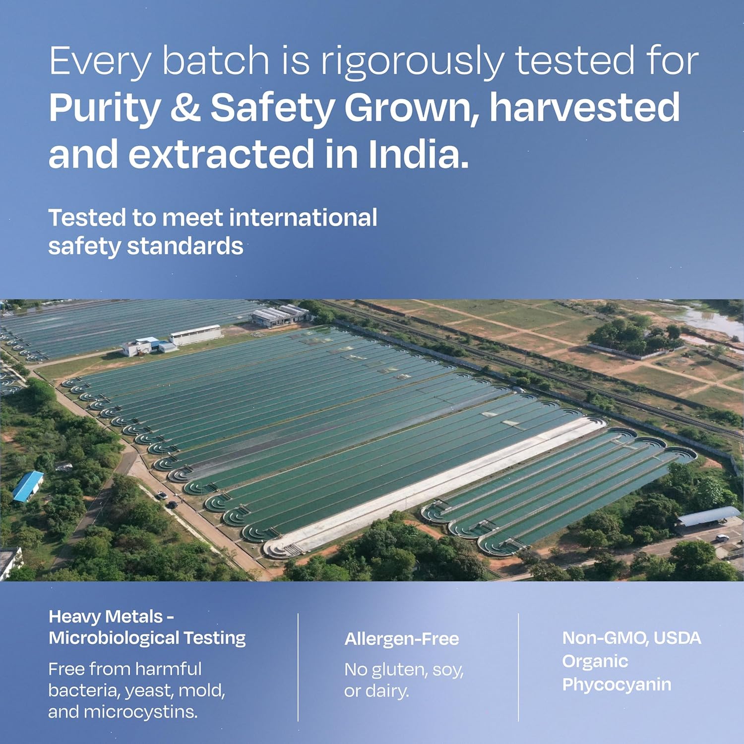 Gunam Blue Spirulina Powder