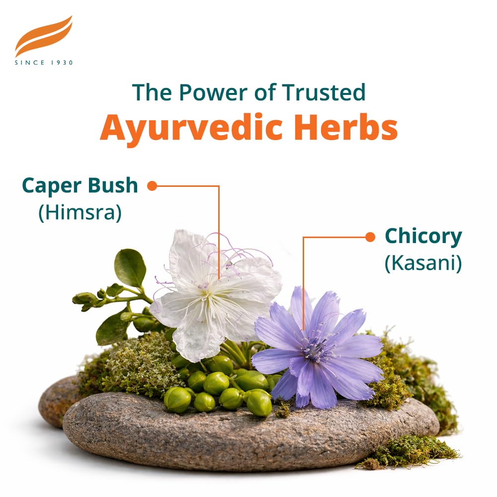 Liv 52 Ayurvedic herbs with Caper Bush and Chicory labeled on a stone surface.
