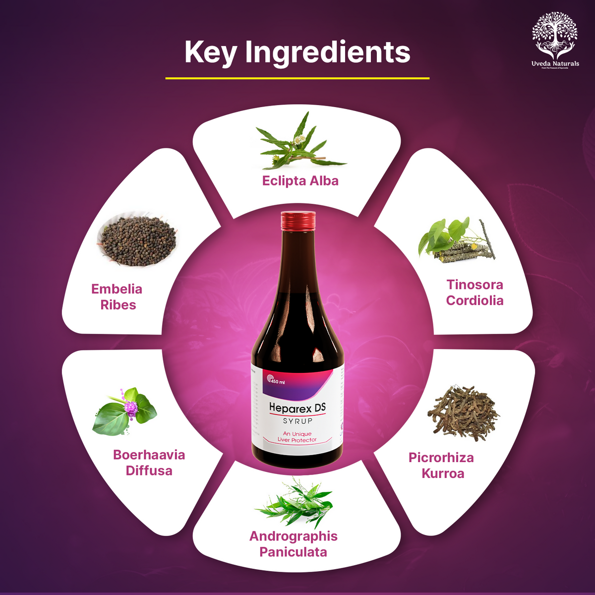 Uveda Naturals Heparex DS Syrup