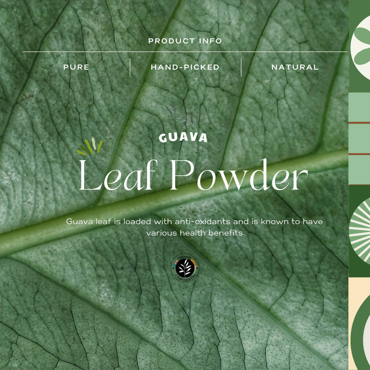 Organic Ayurveprithvin Guava Leaves Powder