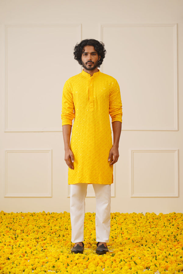 Men's Yellow Chikankari Embroidered and Sequence Kurtas