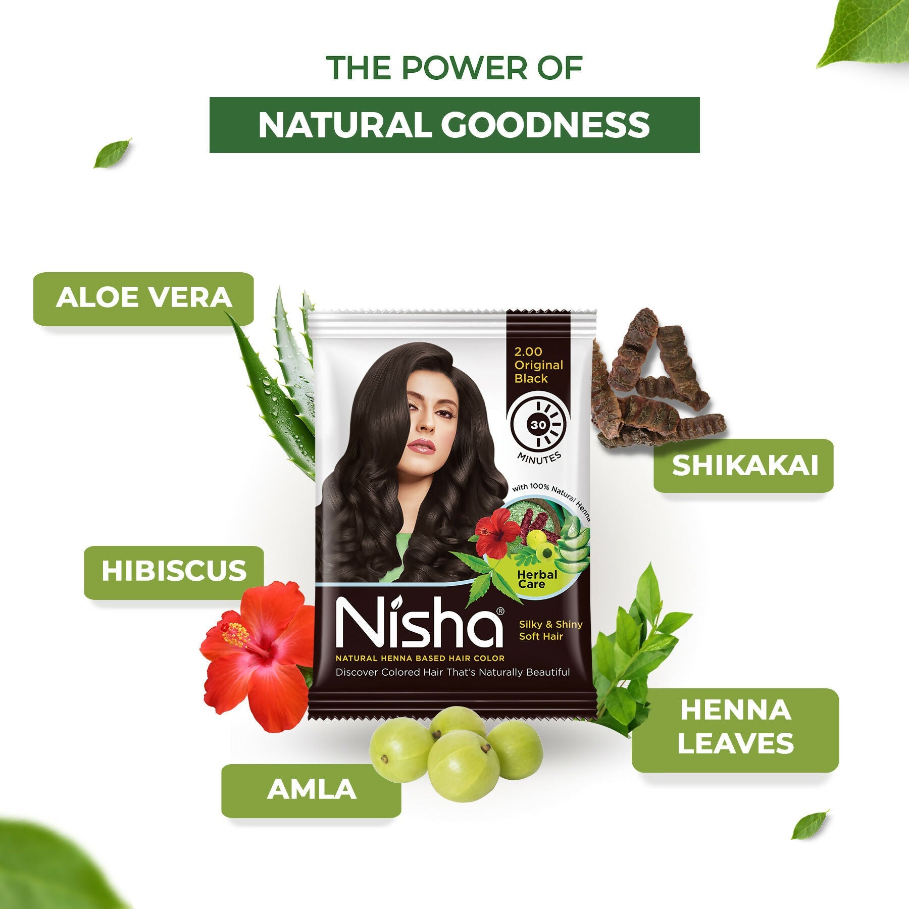 Nisha Henna Based Hair Colour for Women & Men - Original Black (Pack of 10)