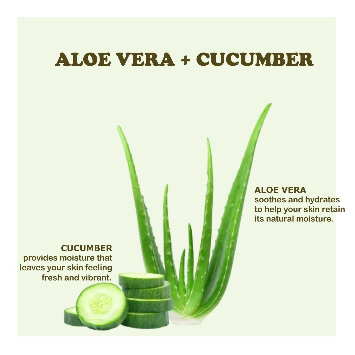 Kimayra Aloe Vera + Cucumber Face Pack Powder For Refreshing Glow Skin, Helps In Anti ?Ageing