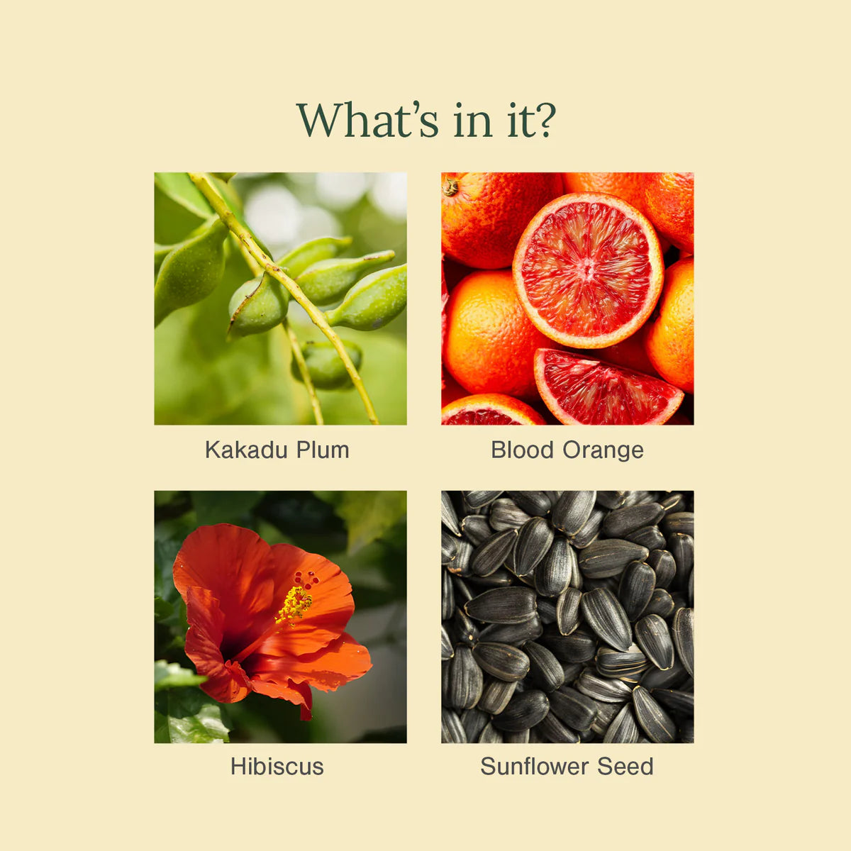 Kakadu Plum, Matcha and Blood Orange Face Mask