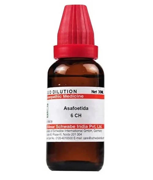 Dr. Willmar Schwabe India Asafoetida Dilution