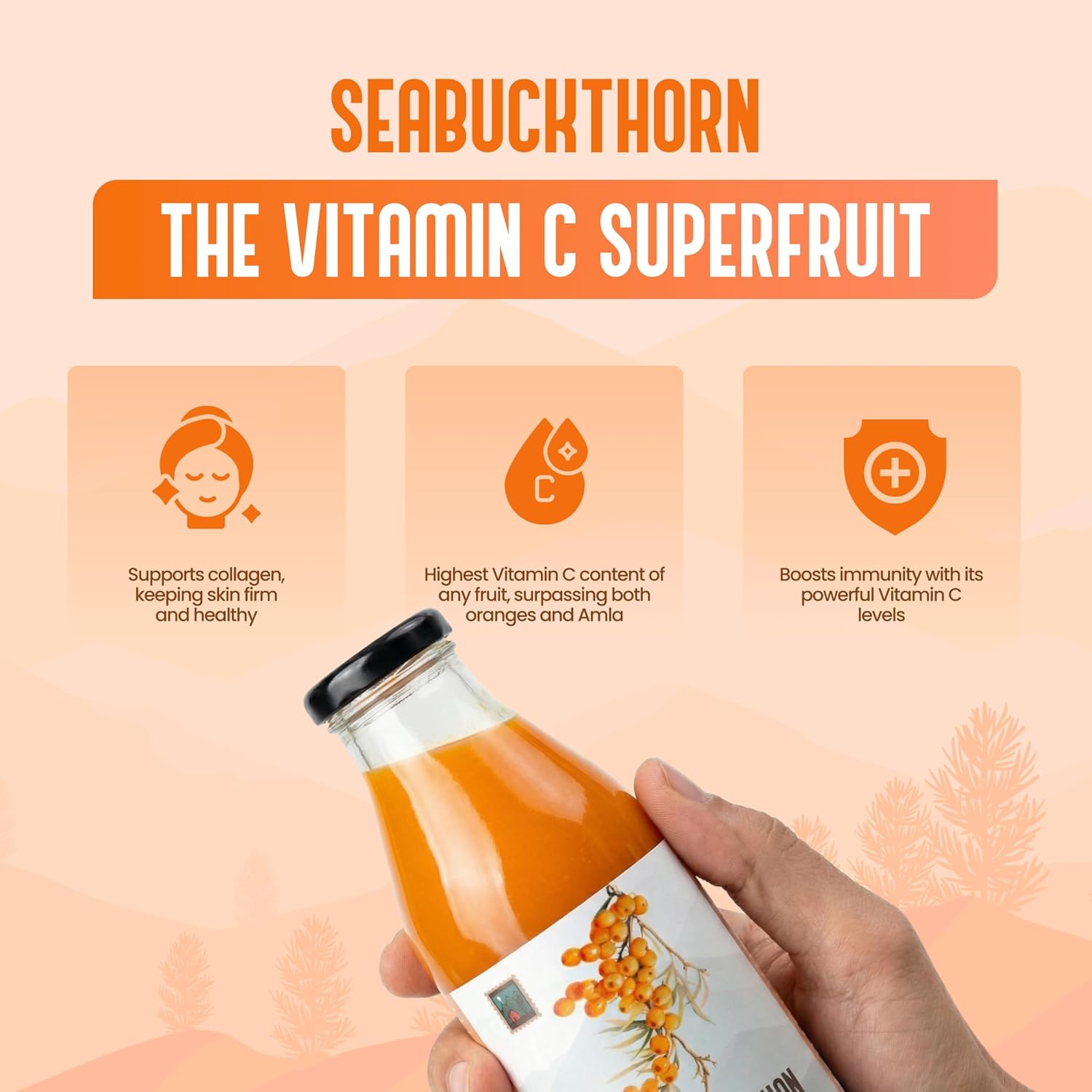 My Pahadi Dukan Himalayan Sea Buckthorn Pulp 300ml