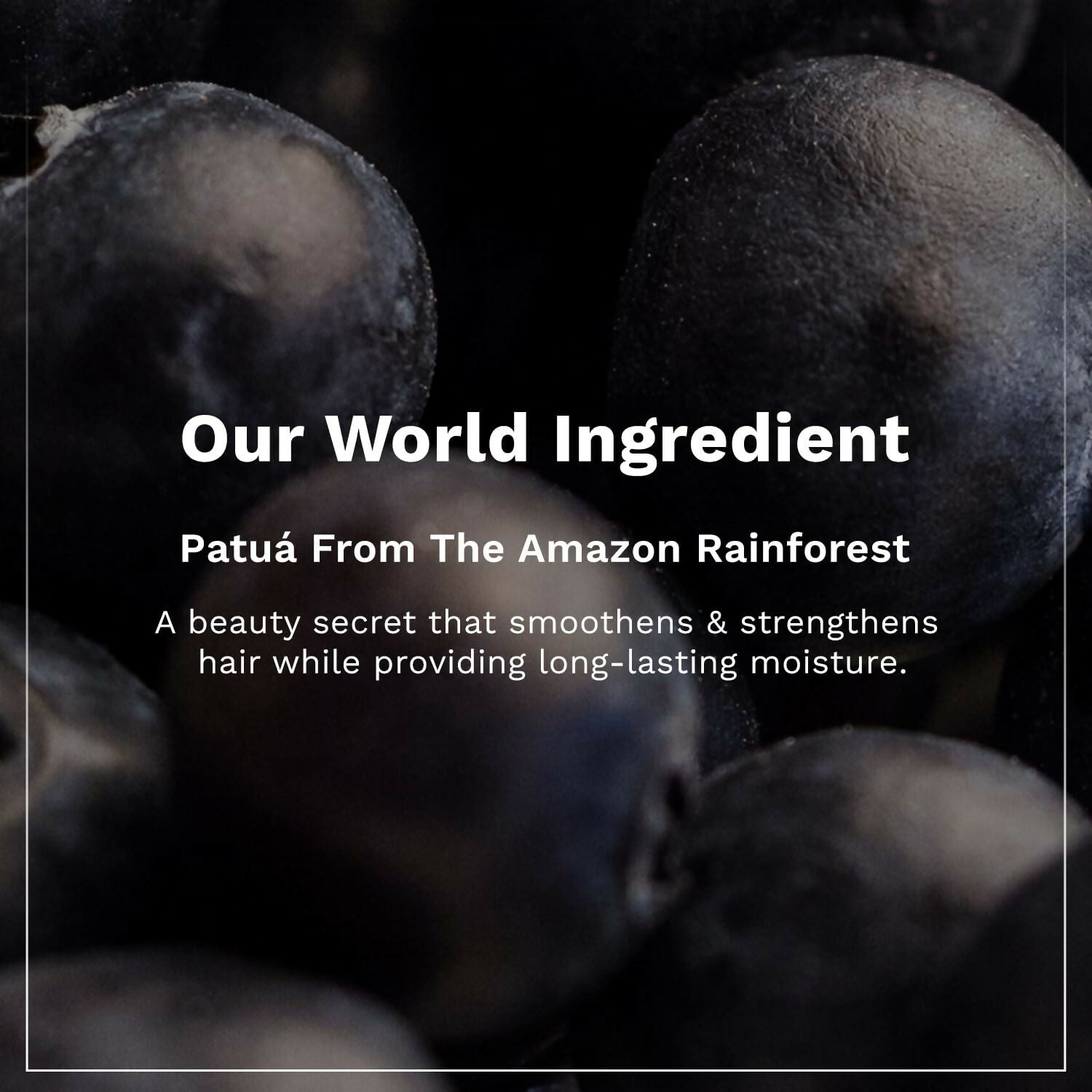 Pilgrim Patuá & Keratin Hair Smoothening Shampoo For Dry & Frizzy Hair, For Hair Smoothening & Healthy Scalp