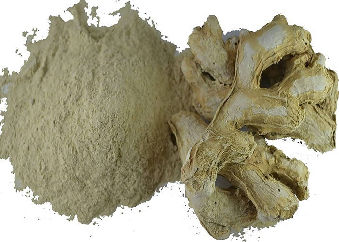 Dark Forest Dry Ginger Powder