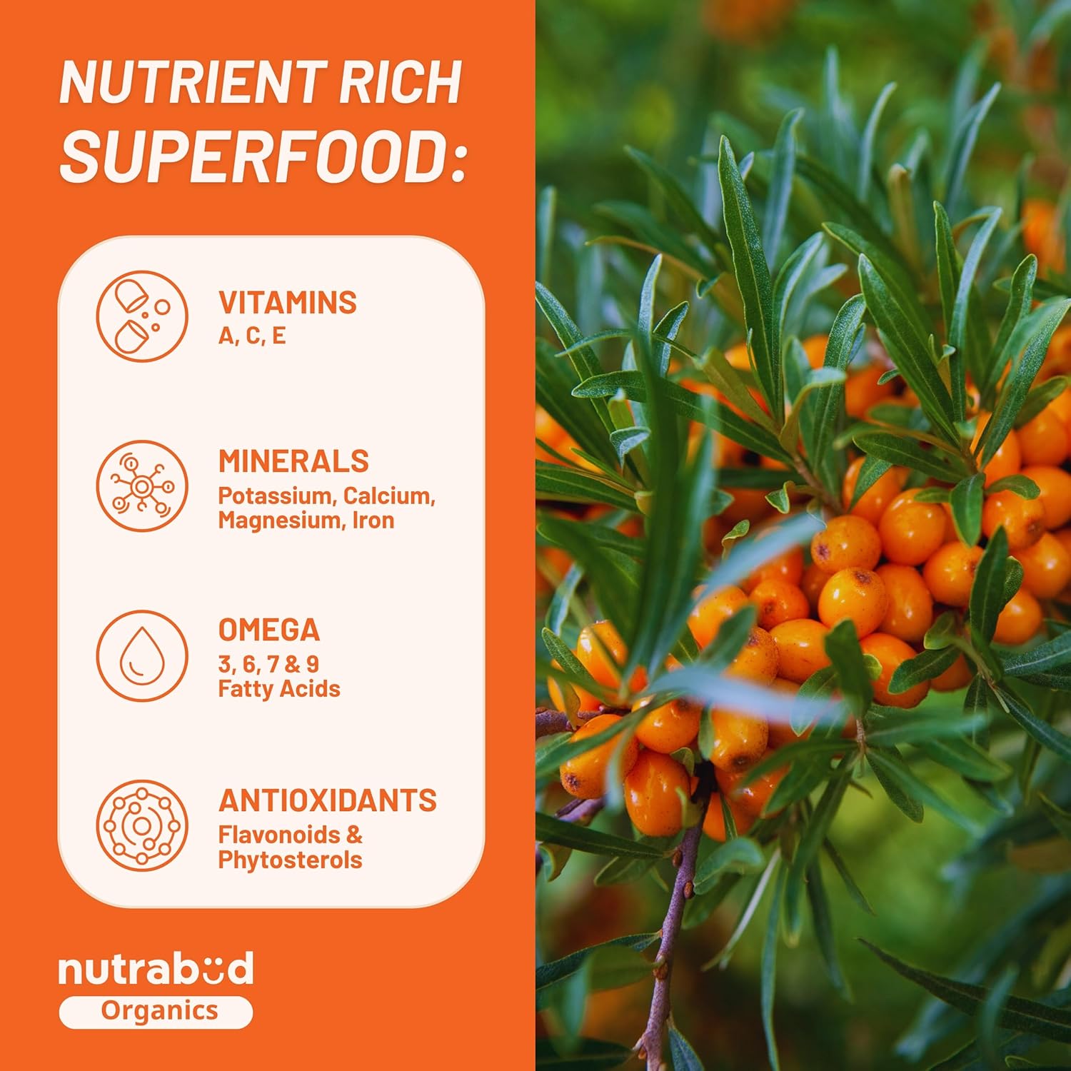 Nutrabold Organics sea buckthorn berries with nutritional information on an orange background