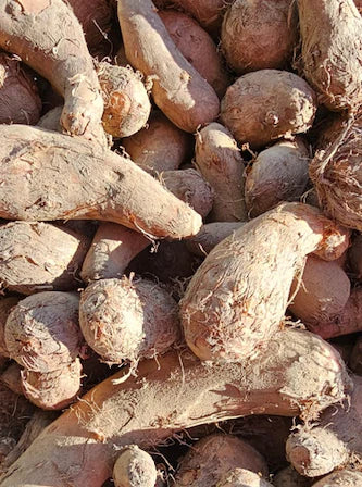 Organic Arbi / Taro root