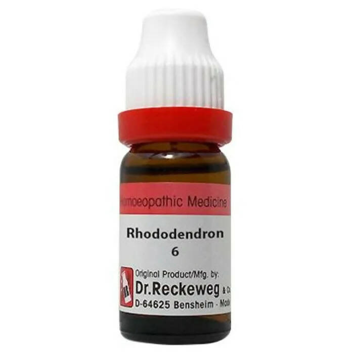 Dr. Reckeweg Rhododendron Dilution