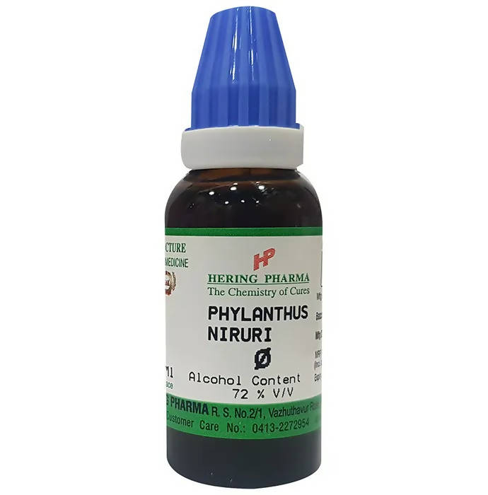 Hering Pharma Phylanthus Niruri Mother Tincture Q