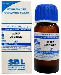 SBL Althaea Officinalis Mother Tincture Q