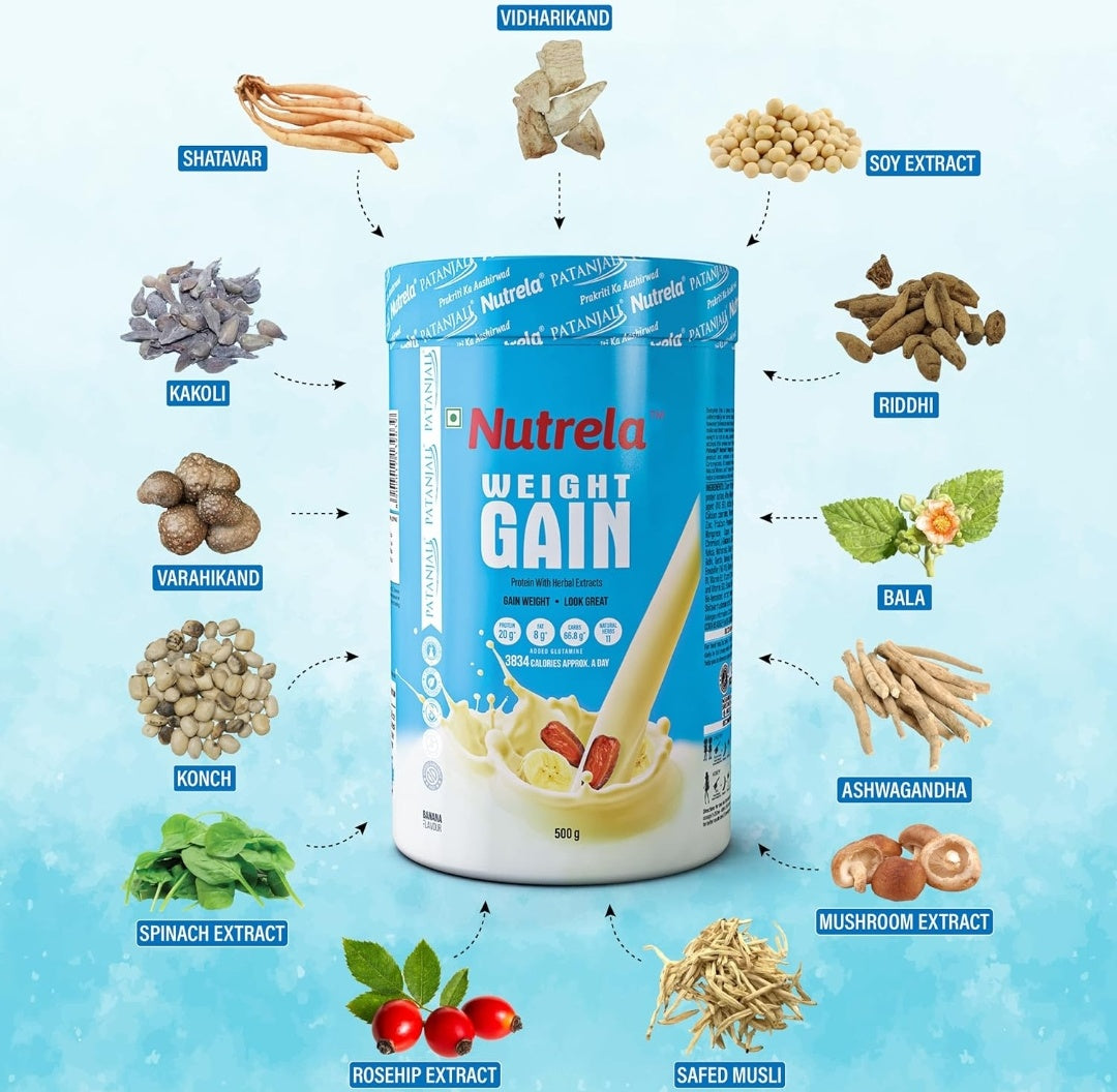 Patanjali Nutrela Weight Gain Protein With Herbal Extracts (500 gm)