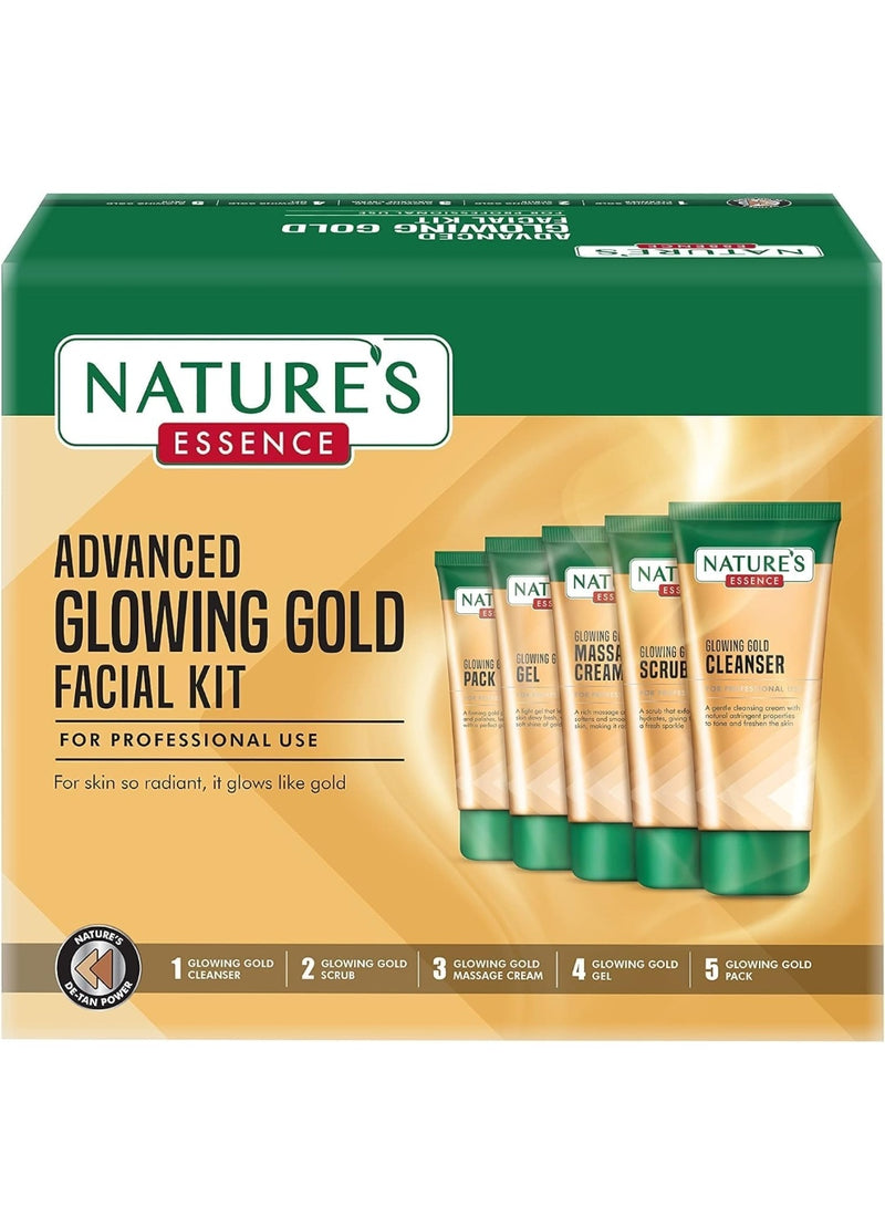 Nature's Essence Ravishing Gold Kit