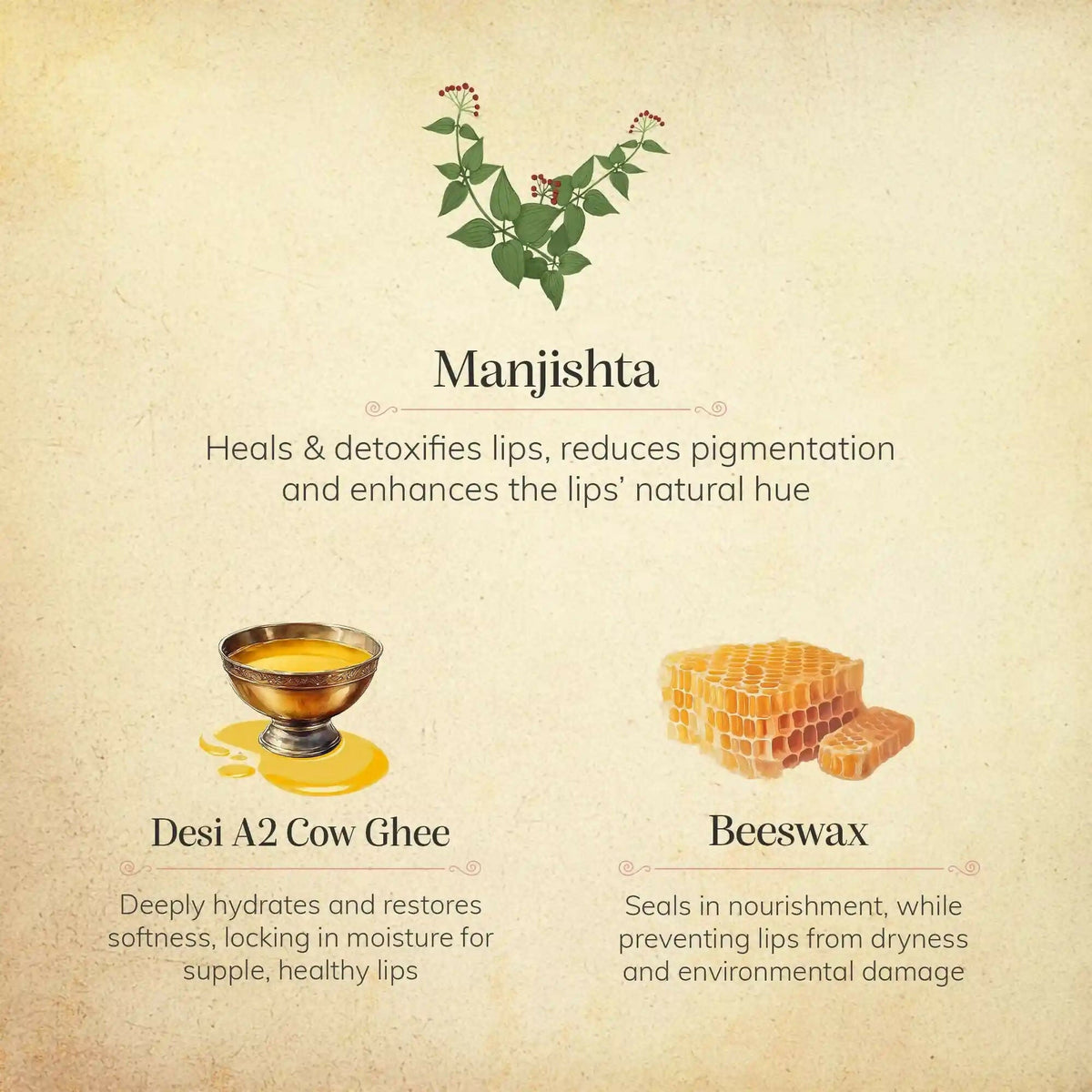 Chengavi Manjishta & Cow Ghee Lip Balm