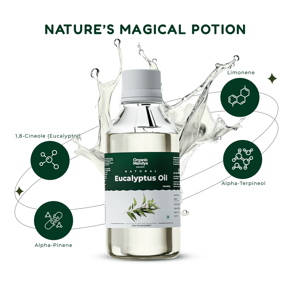 Organic Mandya Eucalyptus Oil
