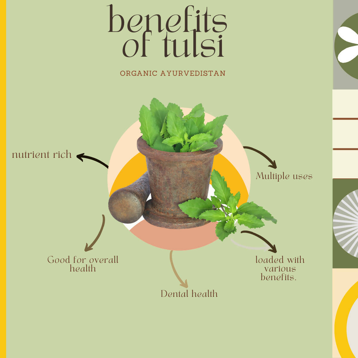 Organic Ayurveprithvin Tulsi Powder