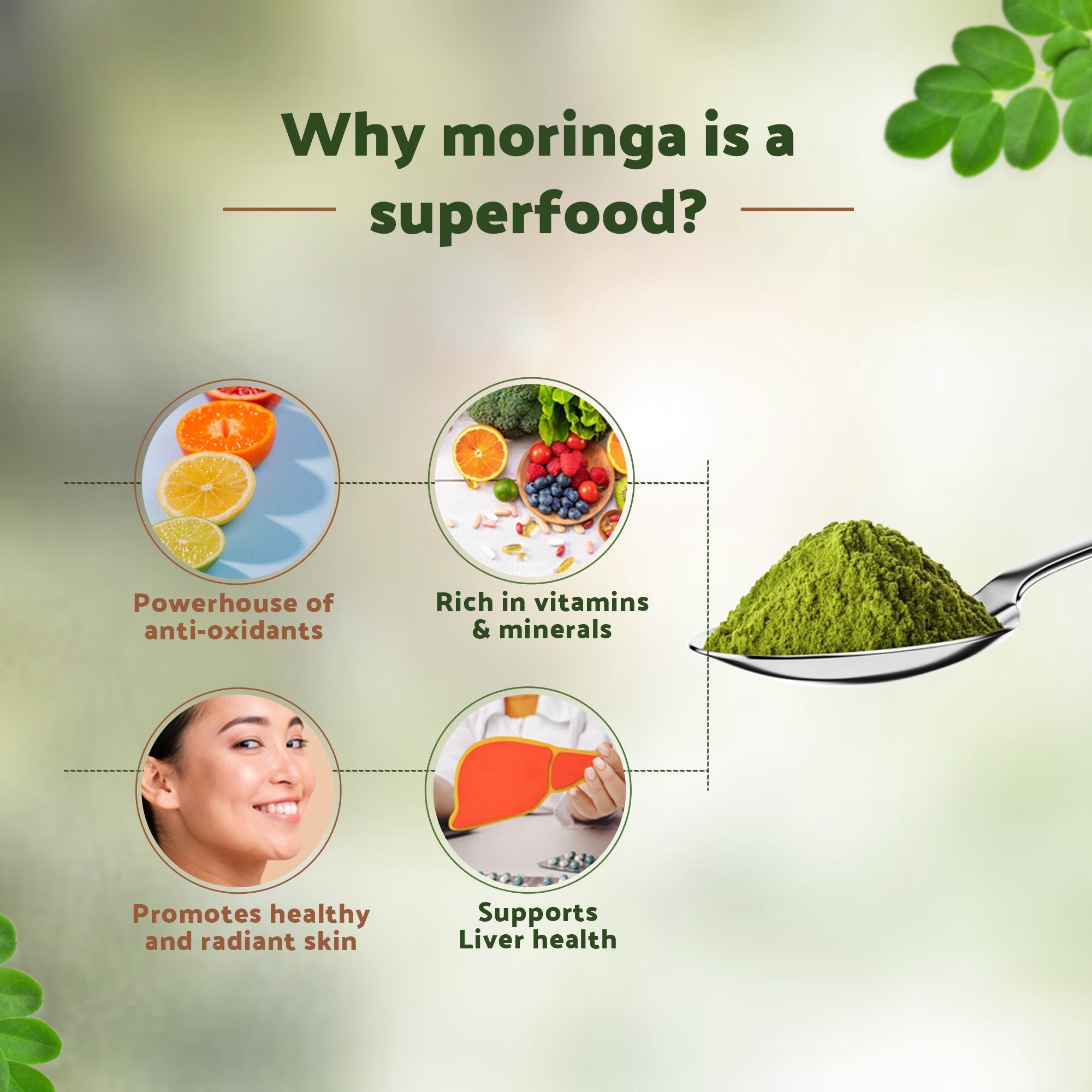 Krishna'S Herbal & Ayurveda Moringa Powder
