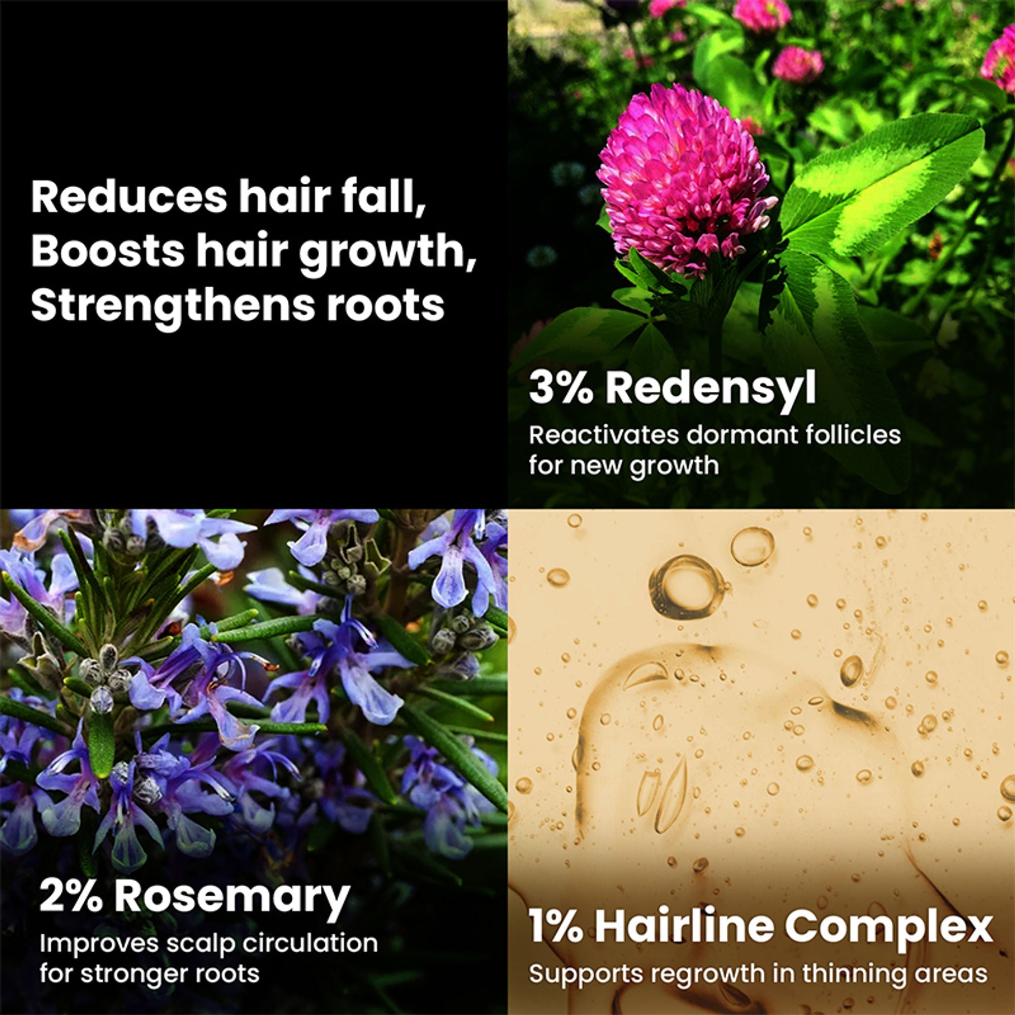The Skin Story Hair Growth Serum