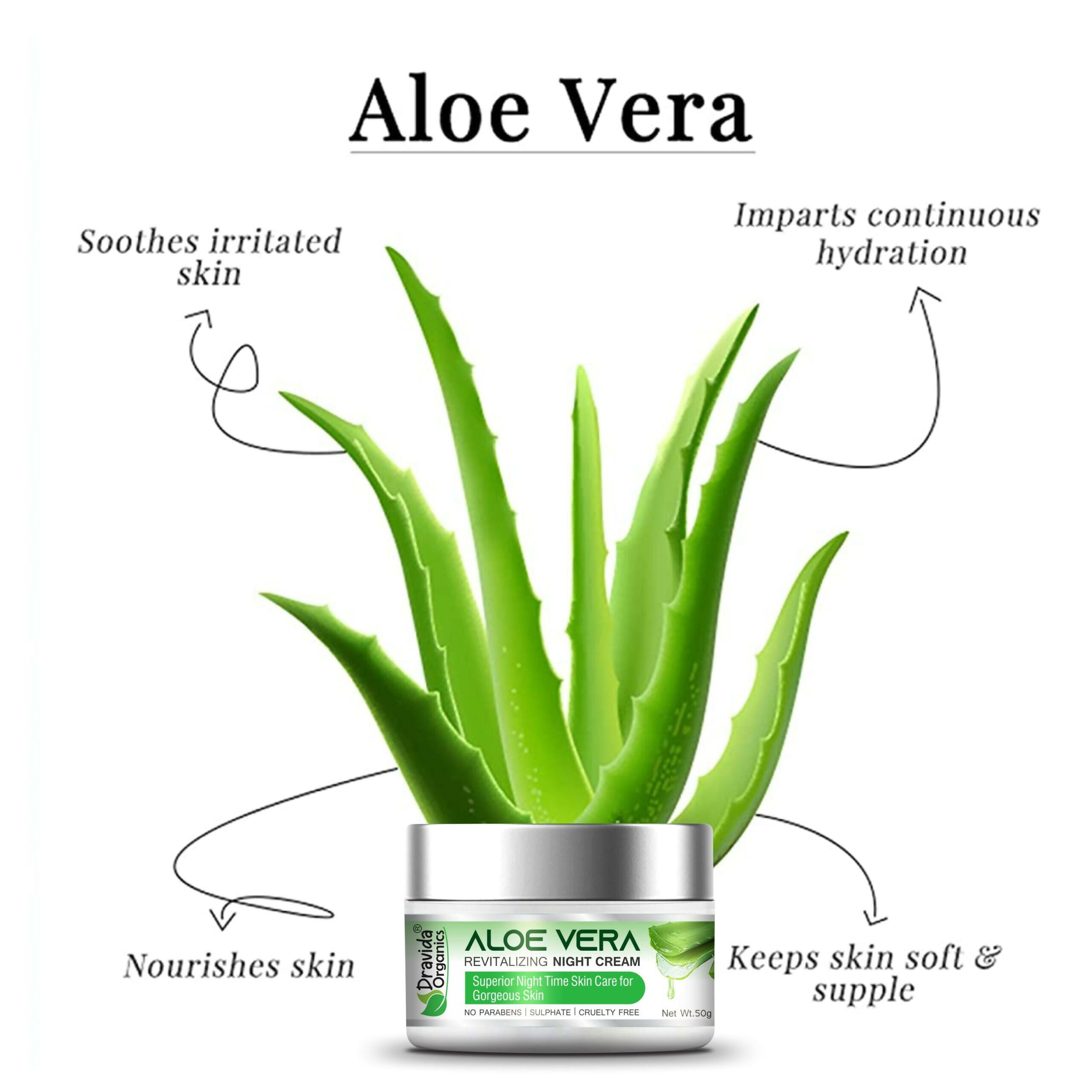 Dravida Organics Aloe Vera Revitalizing Night Cream