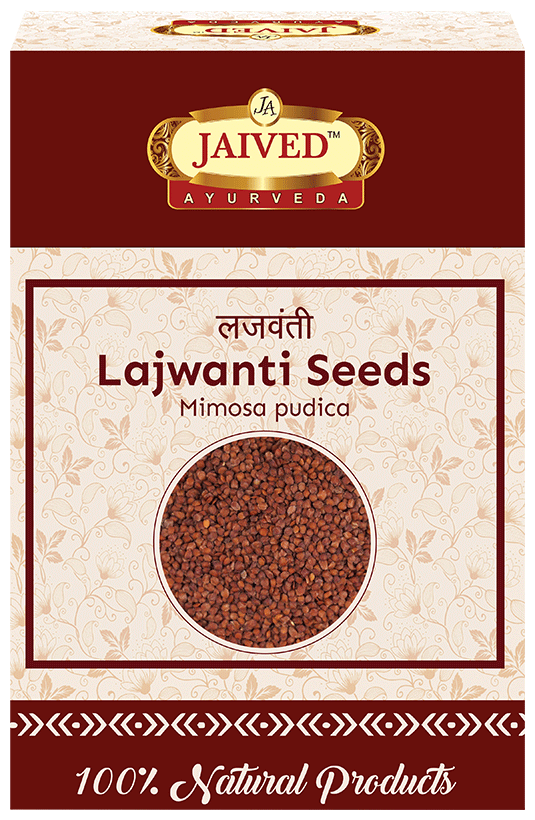Jaived Ayurveda Sensitive Plant Lajwanti Seeds